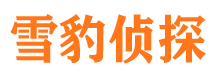 湖滨找人公司